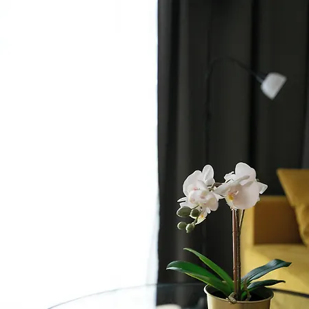 Apartamento Rentplanet - Bliska Wola